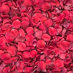 Petali di rosa rossi, veri petali di rosa liofilizzati, completamente naturali e biodegradabili, perfettamente conservati negli Stati Uniti.