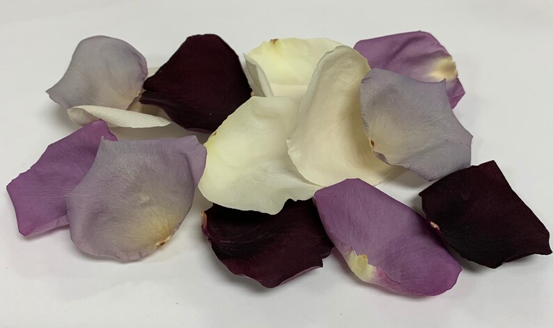 perfectly preserved Freeze Dried Rose Petals REAL rose petals Vineyard Blend