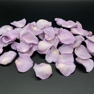 Petali di rosa, lavanda, veri petali di rosa liofilizzati, completamente naturali e biodegradabili, perfettamente conservati negli Stati Uniti