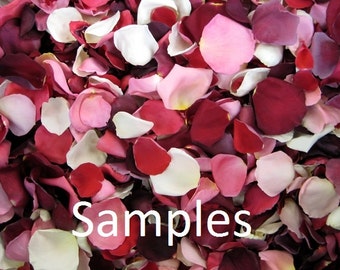 Freeze Dried Rose Petal Samples, about 12 REAL rose petals, perfectly preserved