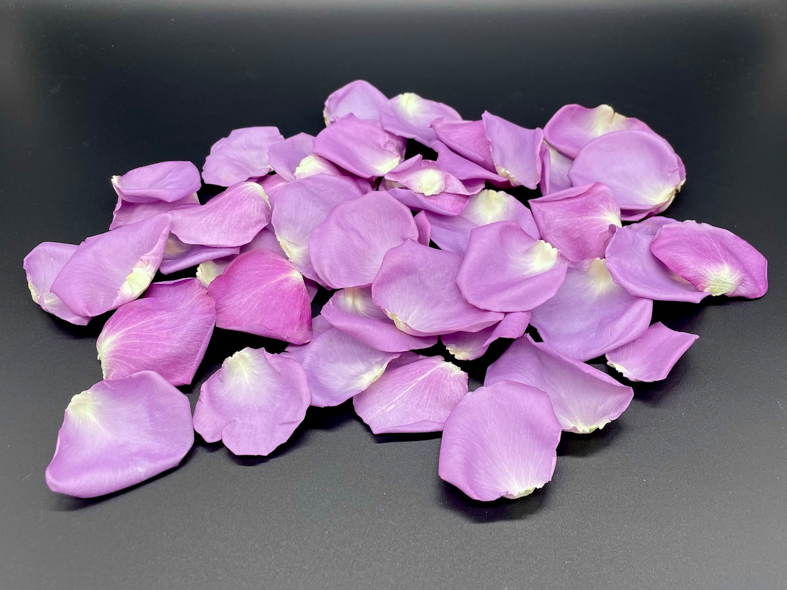 Purple-themed wedding ceremony supplies - purple rose petals