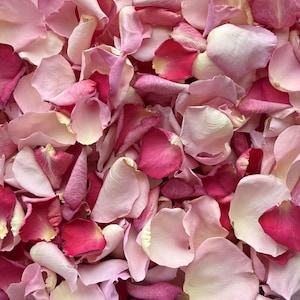May include: A close-up of a collection of rose petals in shades of pink and red. The petals vary in colour from pale pink to deep crimson. The arrangement creates a soft, textured, and romantic aesthetic.