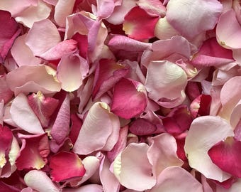 May include: A close-up view of a pile of rose petals in varying shades of pink and red. The petals are soft and delicate, with a mix of light and dark hues. The arrangement creates a textured, romantic aesthetic.