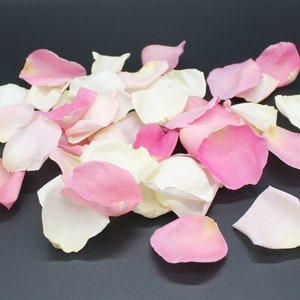 Freeze Dried Rose Petals, Ivory, 10 cups of REAL rose petals for Weddings, All Natural and Biodegradable, Ships Based on Event Date image 4