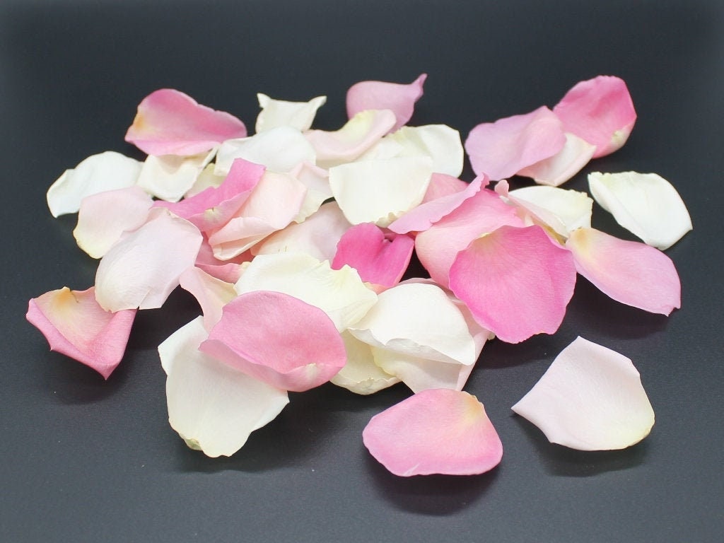 FREE SHIPPING! Freeze Dried Rose Petals 50 cups=10 liter Lovely dried Petals 