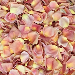 Rose Petals, Vintage Peach, REAL freeze dried rose petals, All Natural and Biodegradable, Perfectly Preserved in the USA