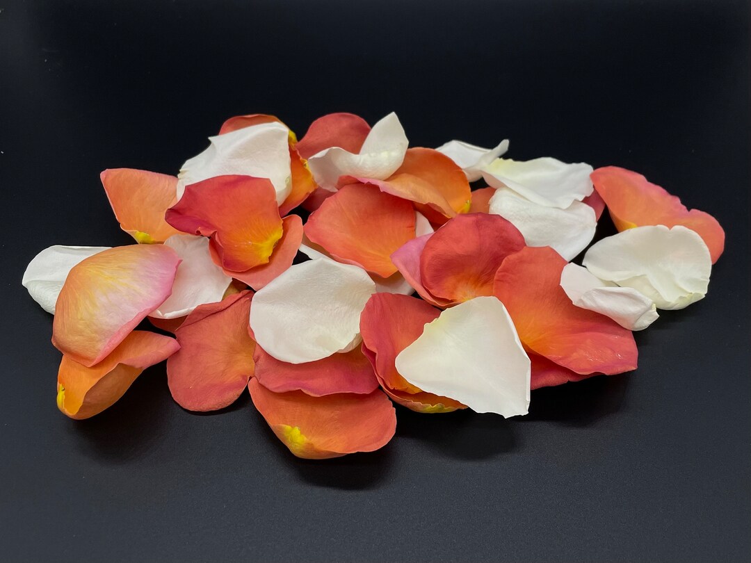 Rose Petals, Orange Creamsicle Blend, REAL Freeze Dried Rose Petals