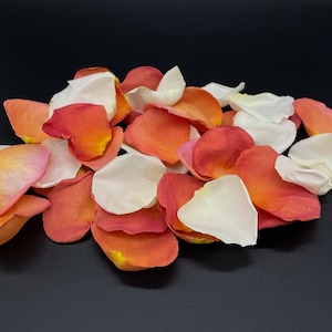Petali di rosa, Orange Creamsicle, veri petali di rosa liofilizzati, completamente naturali e biodegradabili, perfettamente conservati negli Stati Uniti