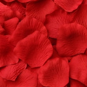 Red Silk Rose Petals, 300 petals image 5