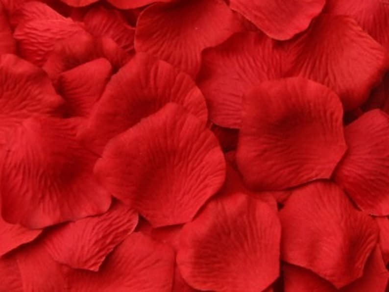 Red Silk Rose Petals, 300 petals image 5