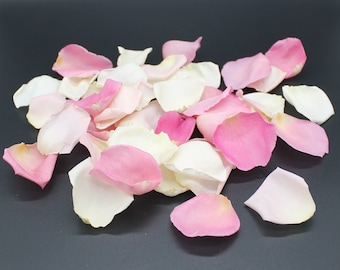Rose Petals, Ivory, Blush and Pink, REAL freeze dried rose petals, All Natural and Biodegradable, Perfectly Preserved in the USA