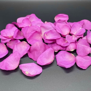 Rose Petals, Flirty Fuchsia, REAL freeze dried rose petals, All Natural and Biodegradable, Perfectly Preserved in the USA