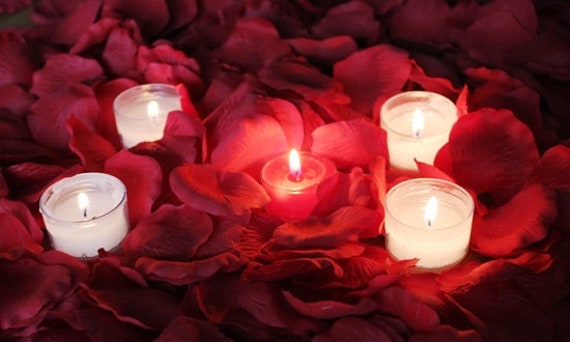 Red Rose Petals and Candles Romantic Silk Rose Petals Plus
