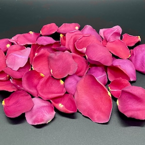 Rose Petals, Romantic Red, REAL freeze dried rose petals, All Natural and Biodegradable, Perfectly Preserved in the USA