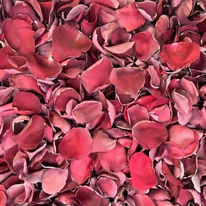Rose Petals, Burgundy, REAL freeze dried rose petals, All Natural and Biodegradable, Perfectly Preserved in the USA