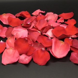 Rose Petals, Passion Blend, REAL freeze dried rose petals, All Natural and Biodegradable, Perfectly Preserved in the USA