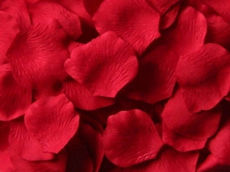 Red Silk Rose Petals, 300 petals image 3