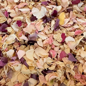 Op de afbeelding: Een close-up van een stapel gedroogde rozenblaadjes in verschillende tinten roze, perzik, cr&egrave;me en bordeaux.