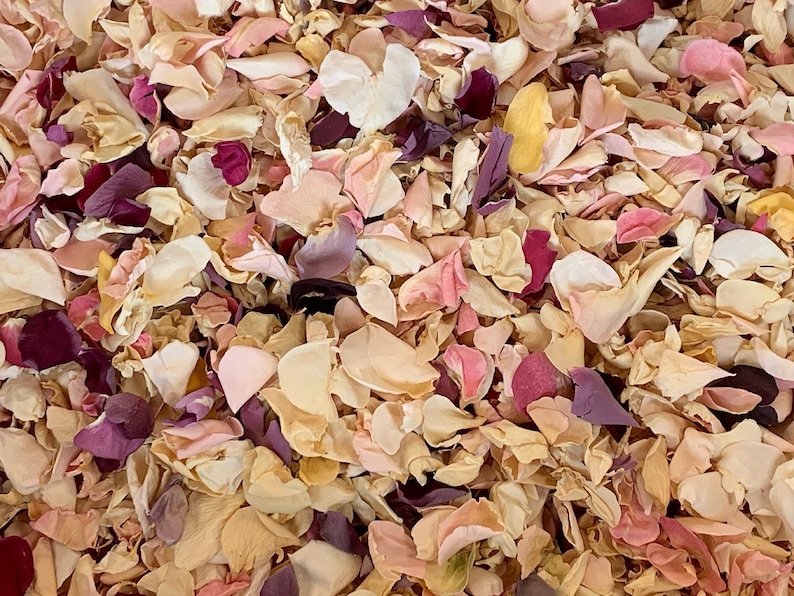 Op de afbeelding: Een close-up van een stapel gedroogde rozenblaadjes in verschillende tinten roze, perzik, cr&egrave;me en bordeaux.