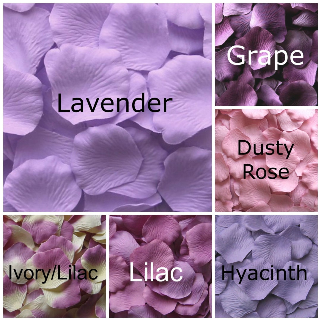 Lavender Silk Rose Petals, 300 Petals Etsy