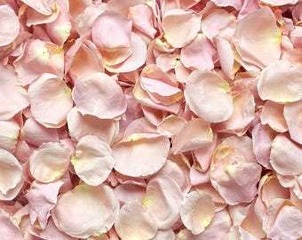 Ballerina Pink Freeze Dried Rose Petals, All Natural and Biodegradable