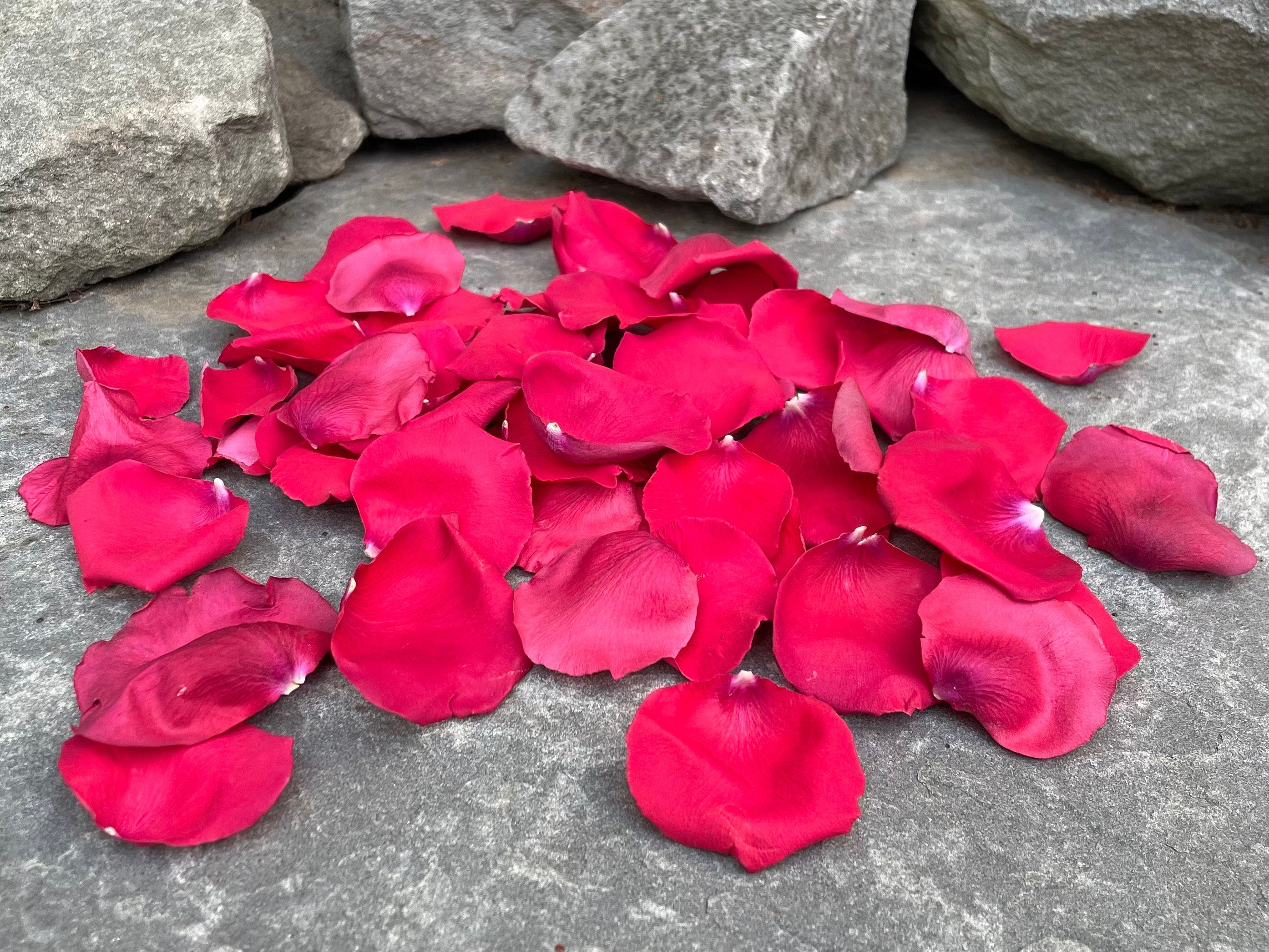 Rose Petals, Red, REAL Freeze Dried Rose Petals, 5 Cups 