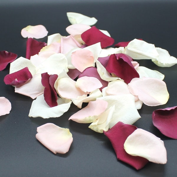 Rose Petals, Ivory, Blush, & Burgundy blend, REAL freeze dried rose petals, perfectly preserved