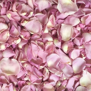 Rose Petals, Rosy Mauve, REAL freeze dried rose petals, All Natural and Biodegradable, Perfectly Preserved in the USA
