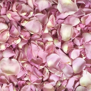 Freeze Dried Rose Petals, Rosy Mauve, REAL rose petals, perfectly preserved