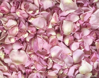 May include: A close-up image of a pile of light pink rose petals.