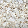 Rose Petals, Ivory, REAL freeze dried rose petals, All Natural and Biodegradable, Perfectly Preserved in the USA
