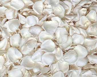 Pétales de rose, ivoire, VRAIS pétales de rose lyophilisés, entièrement naturels et biodégradables, parfaitement conservés aux États-Unis