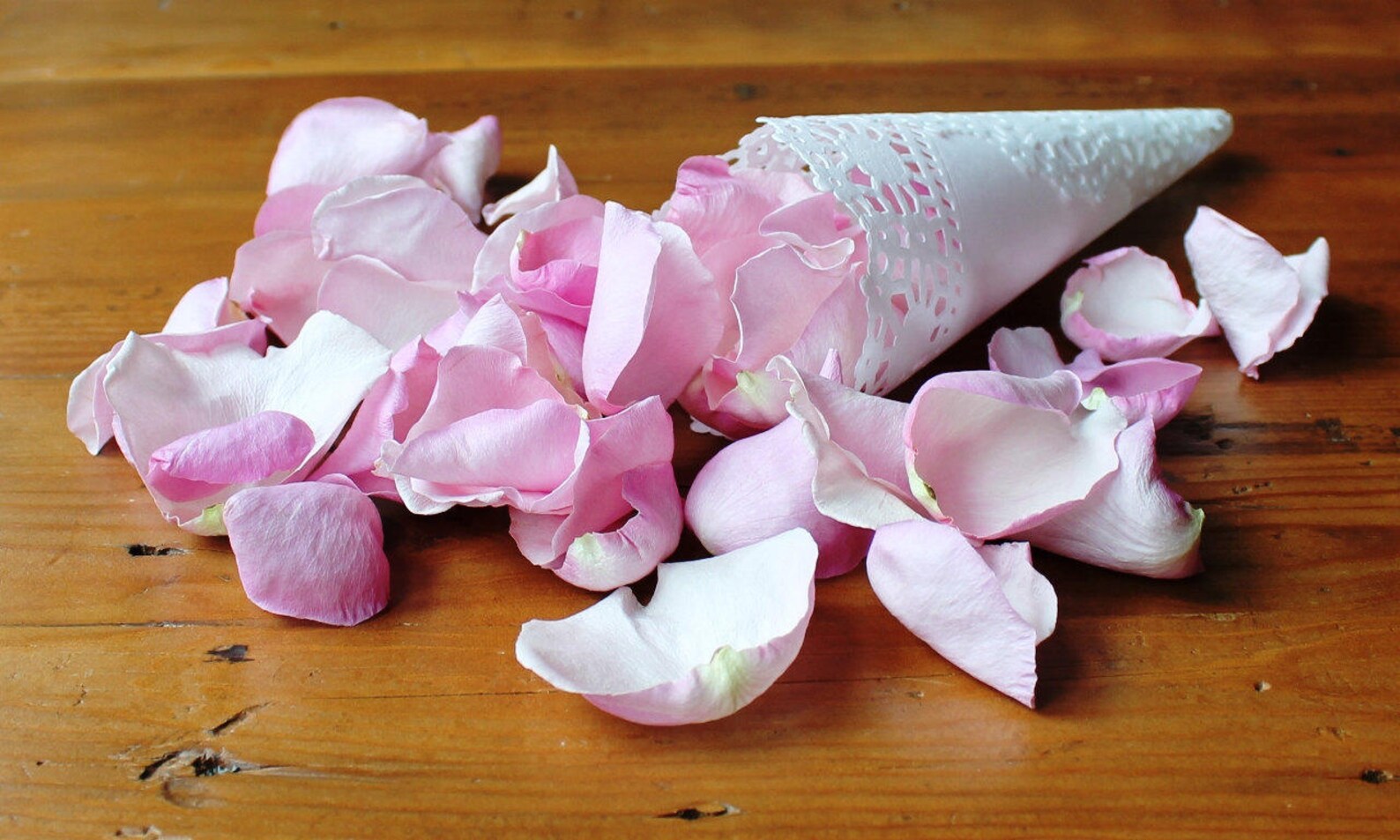 Freeze Dried Rose Petals Rosy Mauve 100 Cups of REAL Rose Etsy