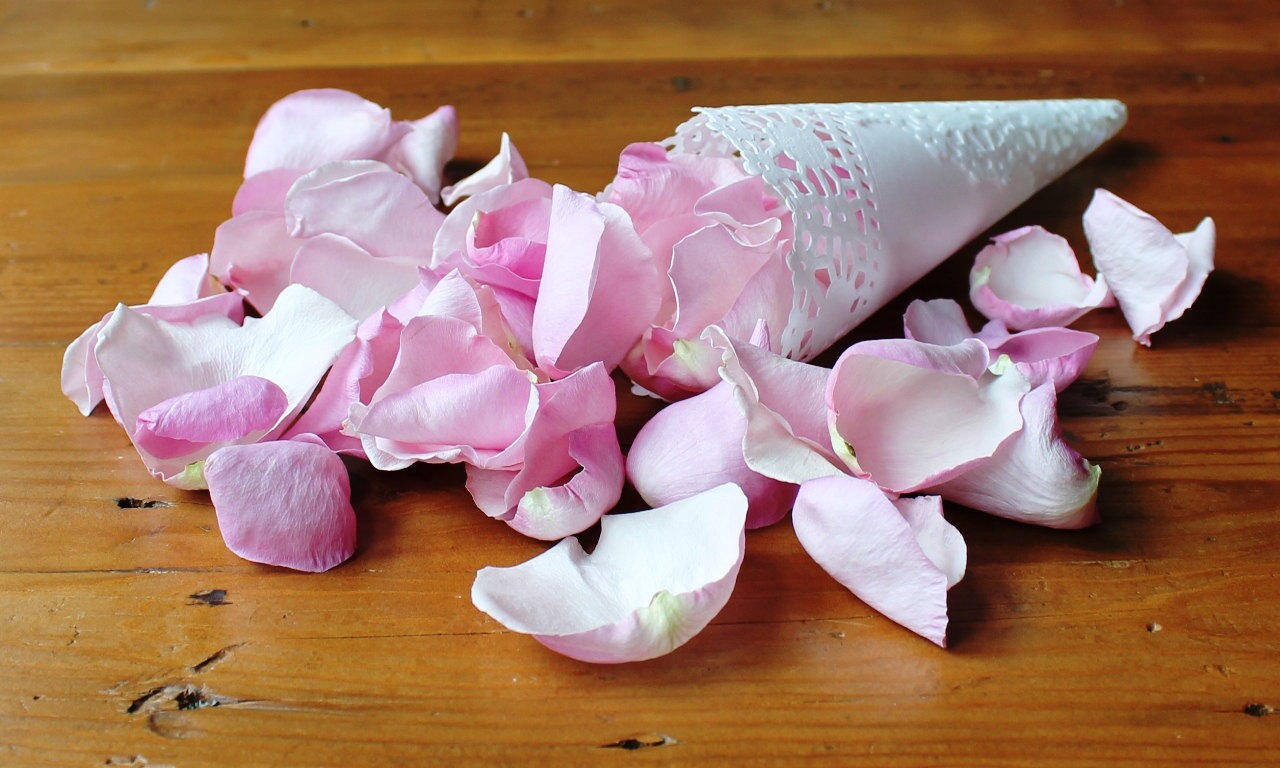Freeze Dried Rose Petals Rosy Mauve 100 Cups of REAL Rose Etsy