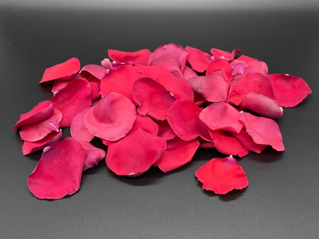Evershine Rose Petals (300 Pcs), Fuchsia