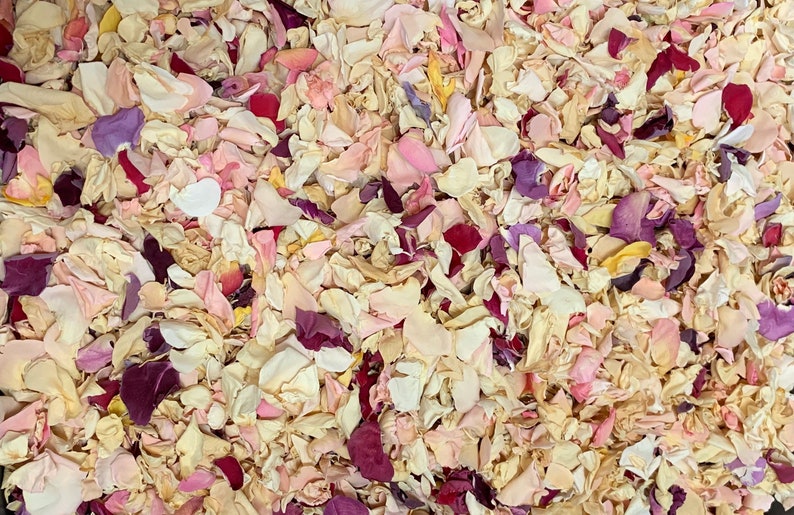 Op de afbeelding: Een close-up van een stapel gedroogde rozenblaadjes in verschillende tinten roze, wit en paars. De blaadjes zijn perfect om te strooien tijdens bruiloften of andere speciale gelegenheden.
