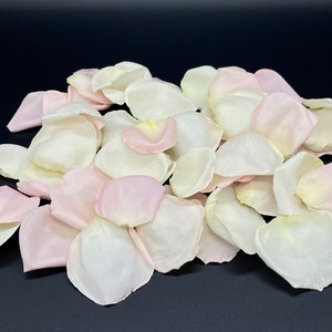 Petali di rosa, avorio e rosa cipria, veri petali di rosa liofilizzati, completamente naturali e biodegradabili, perfettamente conservati negli Stati Uniti.