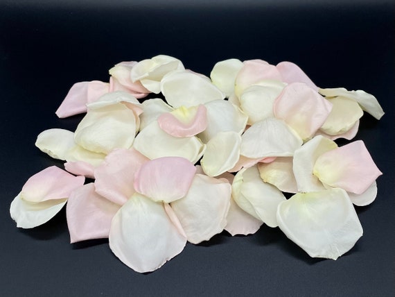 Rose Petals REAL Freeze Dried Rose Petals All Natural and -   Freeze  dried rose petals, Real rose petals, Rose petals wedding