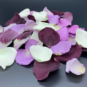 perfectly preserved Freeze Dried Rose Petals REAL rose petals Vineyard Blend
