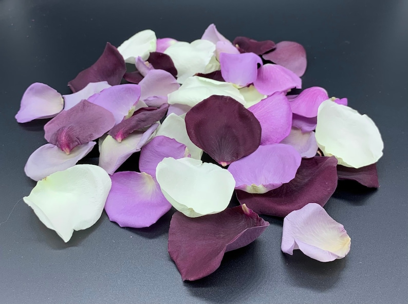 perfectly preserved Freeze Dried Rose Petals REAL rose petals Vineyard Blend