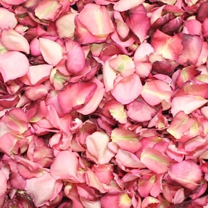 Rose Petals, Assorted Pink Pathway, 64 cups of REAL freeze dried rose petals, All Natural and Biodegradable, Perfectly Preserved in the USA