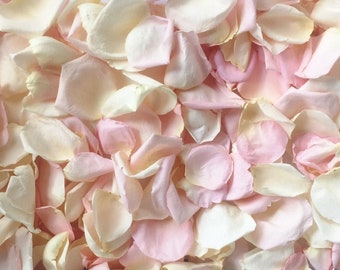 Bridal Pink Preserved Freeze Dried Rose Petals