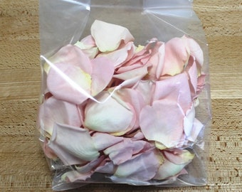 Rose Petals Freeze Dried (Pinks) 1 box - 240 ounces – Beckwourth Blooms