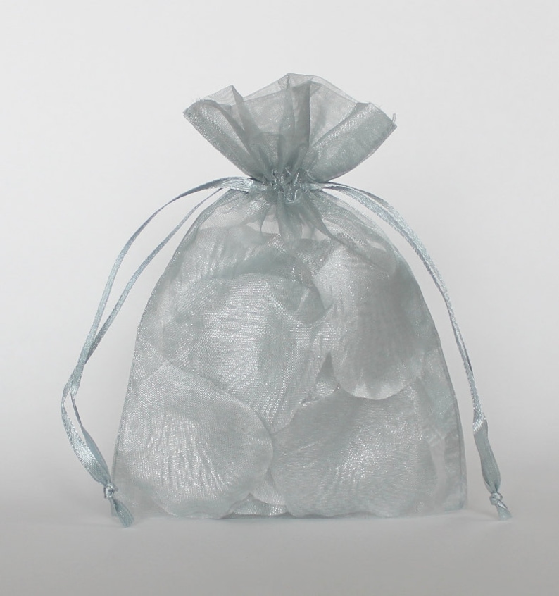 Organza Gift Bags Silver Sheer Favor Bags With Drawstring for Etsy