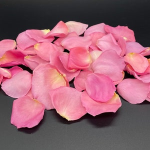 Petali di rosa, rosa, veri petali di rosa liofilizzati, completamente naturali e biodegradabili, perfettamente conservati negli Stati Uniti