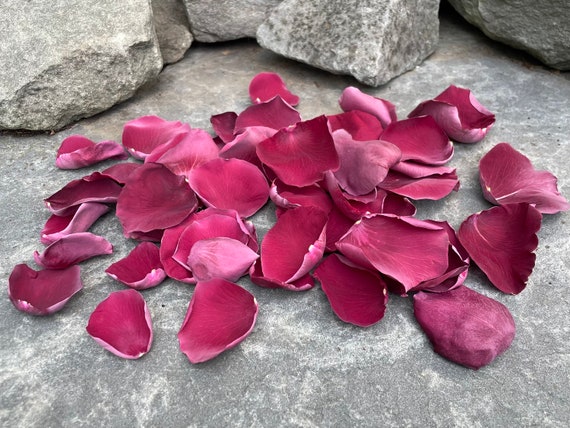 Burgundy Dried Rose Petals Luxury Biodegradable Rose Petal 