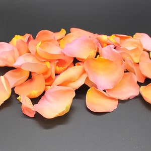 Rose Petals, Crushing on Coral, REAL freeze dried rose petals, All Natural and Biodegradable, Perfectly Preserved in the USA