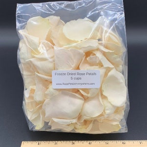 Freeze Dried Rose Petals, Ivory, REAL rose petals, perfectly preserved. All Natural and Biodegradable, Ships Based on Event Date image 6