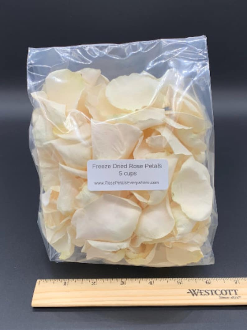 Freeze Dried Rose Petals, Ivory, REAL rose petals, perfectly preserved. All Natural and Biodegradable, Ships Based on Event Date image 6