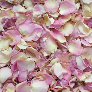 Rose Petals, Ivory & Mauve Pathway, 64 cups of REAL freeze dried rose petals, All Natural and Biodegradable, Perfectly Preserved in the USA